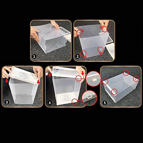 OnDisplay Clik Stackable Interlocking Shoe Box System (Standard White/White, Single Box) - color: Standard White/White, size: Single
