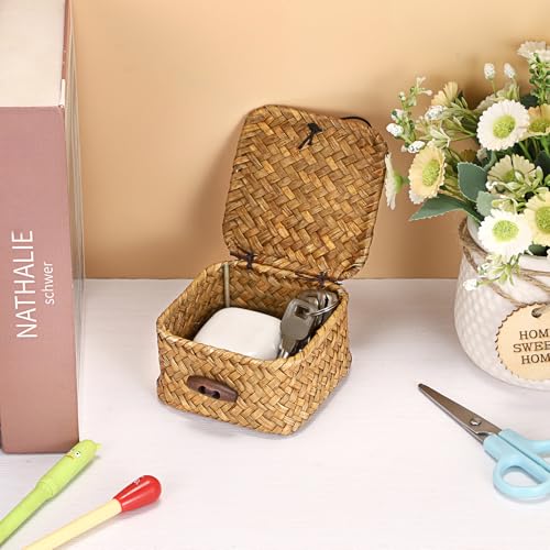 Hipiwe Handwoven Wicker Basket with Lid Desk Organizer for Remote Control Key Glass Coffee Color Seagrass Box for Decoration, Caramel Color 3.5" x 3.5" x 2" - color: Caramel color, size: 3.5" x 3.5" x 2"