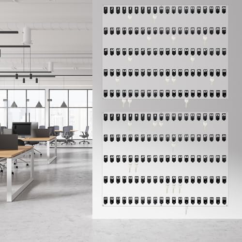 Beeveer Acrylic Key Board with 100 No. Hooks Wall Mount Key Rack Holder Hanger Storage Collection for School, Garage, Car Dealer, Office, Hotel, Real Estate(Transparent) - color: Transparent, size: 100 Hooks