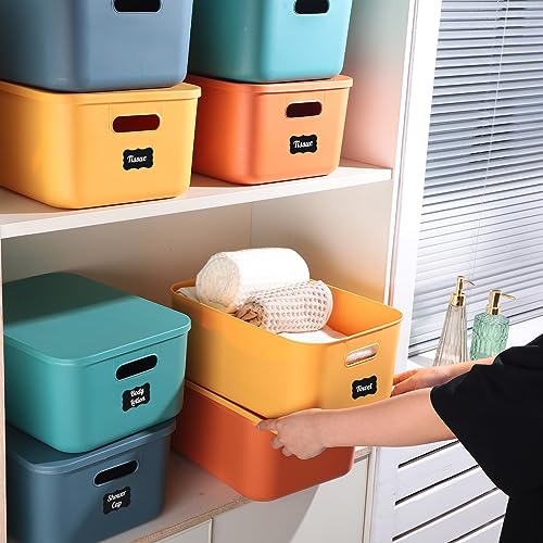Tanlade 8 Pcs Plastic Storage Bins Stackable Baskets with Lid and Handle Colorful Desktop Storage Box Cubby Containers for Shelf Bedroom Office, Include 1 Erasable Marker, 16 Stickers (14 x 10 x 6 In) - size: 14 x 10 x 6 in