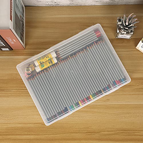 BTSKY Clear Plastic Storage Box with Flap Lid, Multipurpose Craft Organizers and Storage Box Art Supply Storage Organizer Plastic Sewing Box for Pencils Markers Notebooks A4 Files, 2 Pack Large - size: Large-2 Pack