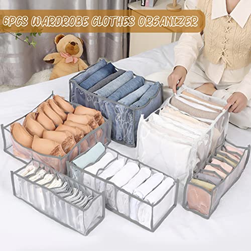 6PCS Wardrobe Clothes Organizer, Visible Foldable Closet Organizers, Compartment Storage Box with Mesh Separation, Washable Drawer Dividers Organizers (Bra+Panties+Socks+Pants+T-Shirt+Legging) - color: Bra+Panties+Socks+Pants+T-Shirt+Legging