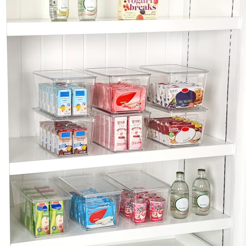 Vtopmart 6 Pack Clear Stackable Storage Bins with Lids, Medium Plastic Containers with Handle for Pantry Organizer and Storage,Perfect for Kitchen,Fridge,Cabinet, Closet,Bathroom Organization - size: M(10"L x 6"W x 5"H)