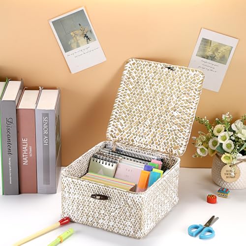 Hipiwe Handwoven Seagrass Basket with Lid Square Wicker Basket Bin Closet Storage Box Multipurpose Household Organize Container for Home Decor, Small,Whitewash - color: Whitewash color, size: Small