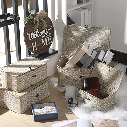 Woanger Set of 4 Wicker Storage Baskets Organizer，Handwoven Storage Bins with Lid for Organizing, Home Utility Box for Home Office Supplies Multipurpose Container(White) - color: White