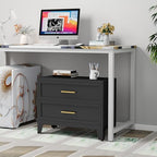 24.8" Tall Metal Dresser for Bedroom, 2 Drawer Nightstand, Side Table, Under Desk Steel Storage Drawer Cabinet, File Drawer for Home Office,Living Room, Entryway, Hallway - color: Black, style: Wide Style/2 Drawers