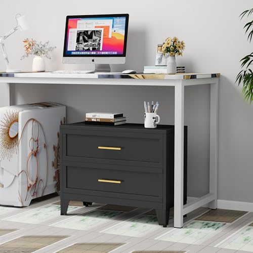 24.8" Tall Metal Dresser for Bedroom, 2 Drawer Nightstand, Side Table, Under Desk Steel Storage Drawer Cabinet, File Drawer for Home Office,Living Room, Entryway, Hallway - color: Black, style: Wide Style/2 Drawers