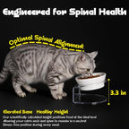 LivLab Mker Raised Cat Bowl, Elevated Cat Food Bowls with Stand - 15° Tilted Shallow Cat Dish for Whisker Fatigue Relief, 4.5" Height for Easy Feeding, Lead & Cadmium Free Melamine Bowl, White - color: White
