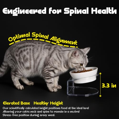 LivLab Mker Raised Cat Bowl, Elevated Cat Food Bowls with Stand - 15° Tilted Shallow Cat Dish for Whisker Fatigue Relief, 4.5" Height for Easy Feeding, Lead & Cadmium Free Melamine Bowl, White - color: White
