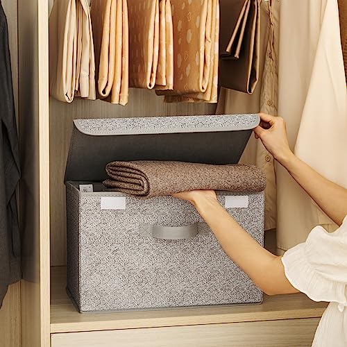 GRANNY SAYS Storage Baskets with Lids, Clothes Storage Boxes, Fabric Storage Bins, Keepsake Box, Closet Organizers and Storage, Gray, 2-Pack - color: Ash Gray, size: Large-2 Pack