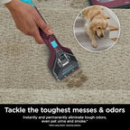 Shark Carpet Cleaner Machine, Portable Upholstery StainStriker, Spot, Odor & Stain Remover, 2 Carpet Cleaner Solutions, 3 Tools, Perfect for Pet Hair, Area Rugs, Couches, Burgundy, PX203BRN - style: StainStriker
