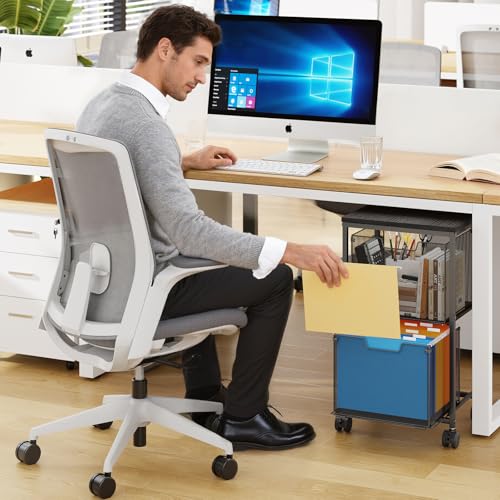Sbanmao Rolling File Cart with 2 Storage Drawers, Mobile File Cabinet with Wheels, Hanging File Folder Organizer, Under Desk Storage, Printer Stand Utility Cart Filing Cabinet for Home Office,Black - color: Black, size: 2L Drawers Only