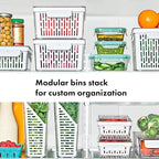 OXO Good Grips Produce Saver - Berry Keeper 2-Piece Set - style: Berry Keeper