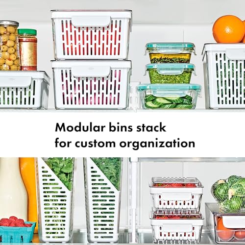 OXO Good Grips Produce Saver - Berry Keeper 2-Piece Set - style: Berry Keeper