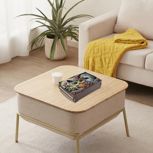 antor DIY Diamond Painting Wooden Storage Box, Halloween Owl Special Shaped Rhinestone Art Flip Cover Jewelry Organizer, Handmade Desktop Diamond Art Storage Box - color: Owl Halloween