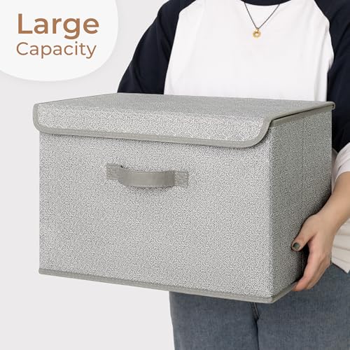 GRANNY SAYS Closet Storage Bins, Storage Boxes with Lids, Clothes Organizing Bins, Lidded Baskets for Toys, Clothing, Gray, Extra Large, 2-Pack - color: Ash Gray, size: Extra Large-2 Pack