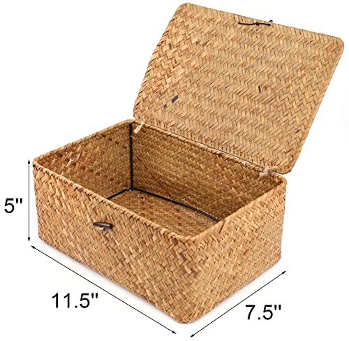 Yesland Handwoven Seagrass Rattan Storage Basket - 11.5'' x 7.5'' x 5'' - Brown Rectangular Makeup Organizer Container with Lid, Perfect for Decoration, Picnic, Groceries and Toy Storage (Pack of 2) - size: 11.5'' x 7.5'' x 5'' (Pack of 2)