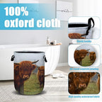 Highland Cow Laundry Basket, Laundry Hamper Collapsible Oxford Cloth with Handle Clothes Toy Storage Bin for Bathroom Laundry Room Bedroom 15.7 X 20 Inch - color: Highland Cow