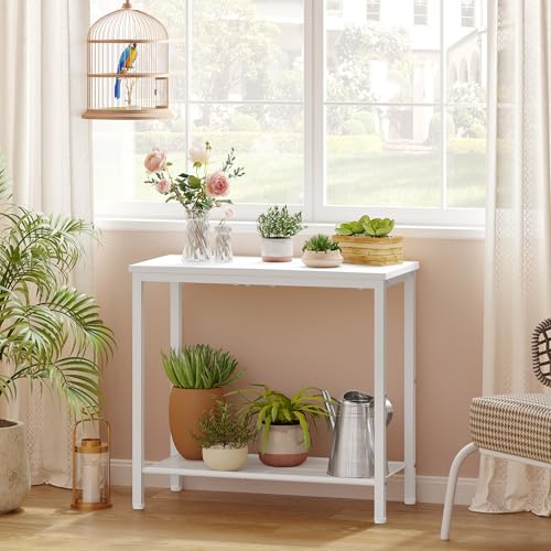 Hoctieon 2 Tier End Table, Sofa Side Table, Narrow Side Table with Storage, Slim Nightstand for Small Spaces, Metal Frame, for Living Room, Bedroom, Sofa Couch, Hall, White, 2 Set - color: White, size: 2 Packs