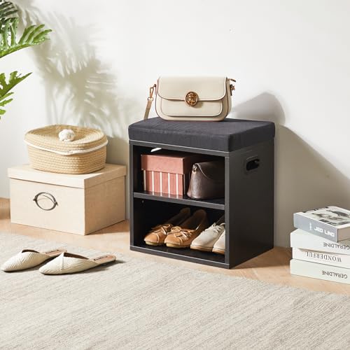 YMYNY Shoe Storage Bench with Cushion, 2 Tier Shoe Rack with Padded Seat, Adjustable Shoe Organizer Cabinet for Entryway, Living Room, Hallway, Closet, Bedroom, 15.4L*11W*16.54H, Black, UHBD028B - color: Black