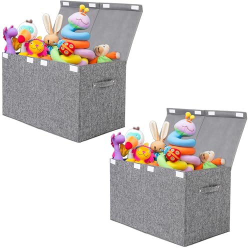 popoly 2 Pack Large Toy Box Chest with Lid, Collapsible Sturdy Toy Storage Organizer Boxes Bins Baskets for Kids, Boys, Girls, Nursery, Playroom, 25"x13" x16" (Linen Gray) - color: 2Pack Large Grey
