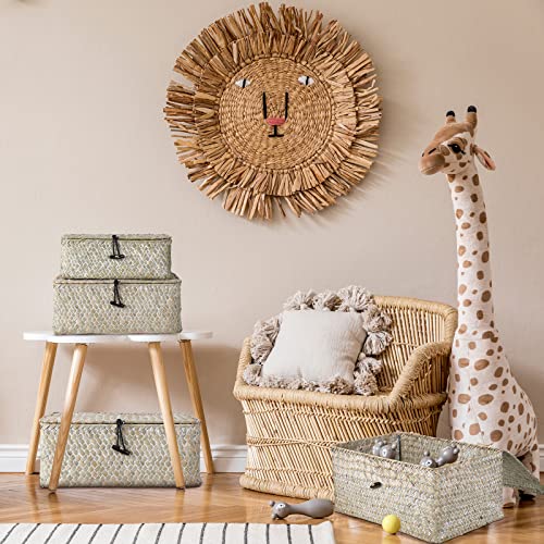 Woanger Set of 4 Wicker Storage Baskets Organizer，Handwoven Storage Bins with Lid for Organizing, Home Utility Box for Home Office Supplies Multipurpose Container(White) - color: White