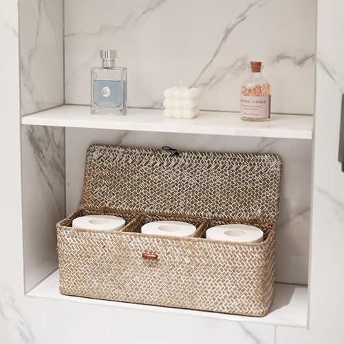 Whitewash Seagrass Tank Basket with Lid Woven Toilet Roll Storage Basket with Sections Rectangular for Organize Snack Toys (Large Compartment 16.5inch L x 5.5inch W x 5.5inch H) - color: Whitewash