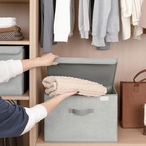 GRANNY SAYS Closet Storage Bins, Storage Boxes with Lids, Clothes Organizing Bins, Lidded Baskets for Toys, Clothing, Gray, Extra Large, 2-Pack - color: Ash Gray, size: Extra Large-2 Pack