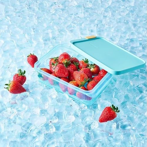 LocknLock Freezer Fit Plastic Freezer Containers | Airtight Stackable Food Storage for Meal Prep | Microwave & Dishwasher Safe | BPA Free Freezer Container with Lid, 1.05L - size: 1050ml