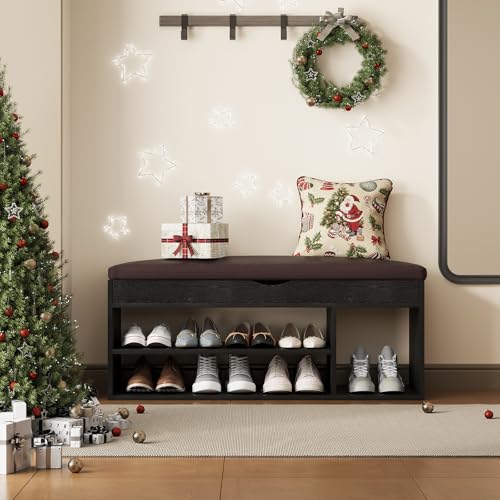 Apicizon 39 Inches Storage Bench with Padded Cushion, Shoe Bench with Storage Space, Upholstered Entryway Bench for Living Room, 2-Tier Shoe Rack Organizer, Black - color: Black, size: 39 Inch