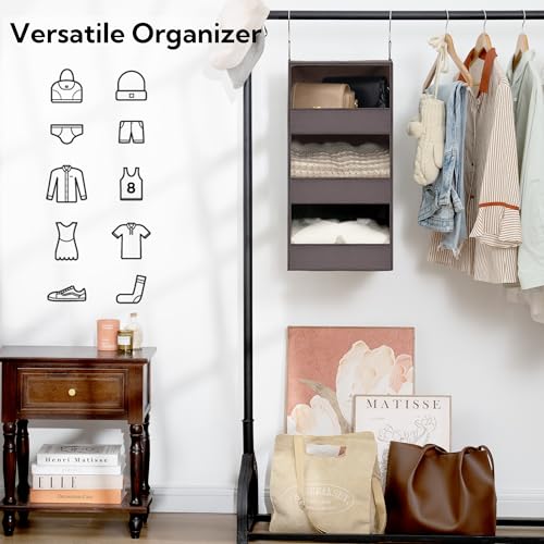 GRANNY SAYS 3 Shelf Hanging Closet Organizers and Storage, Collapsible Closet Storage Organizer with 2 Metal Hooks, Leak-Proof Hanging Shelves for Baby Clothes, Sweaters, 2 Pack, Dark Brown - color: 3-shelf Dark Brown, size: 2-Pack