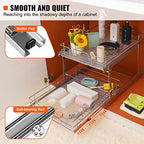 VEVOR 2 Tier 17"Wx21.2"Dx15.2"H Pull Out Cabinet Organizer, Heavy Duty Slide Out Pantry Shelves, Steel Roll Out Drawers, Sliding Drawer Storage for Home, 18.5"Wx22.5"Dx19"H Install Size for Cabinet - size: 17"Wx21.2"Dx15.2"H