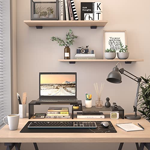 WESTREE Dual Monitor Stand Riser - 2 Shelf Computer Stand with Adjustable Length and Angle, Desktop Organizer for 2 Monitors - color: Grey
