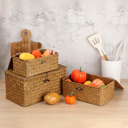 Sumnacon Wicker Basket with Lid Rectangle Woven Baskets for Toiletries Tampon Storage,Wicker Storage Basket with Lid,Decorative Seagrass Storage Baskets for Shelf Bathroom Toilet Table, Caramel - color: Caramel, size: Small