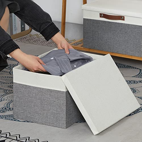 Temary Collapsible Storage Bins Storage Boxes with lid, 2 Pack Storage Baskets with Lid Organizing Clothes, Decorative Organizer Bins with Handles (White&Gray, 15x11x9.5inch) - color: White&Grey, size: 15×11×9.5