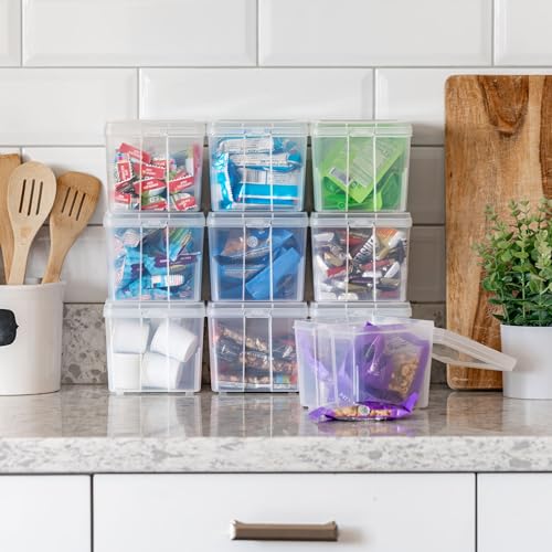 IRIS USA Vertical Plastic Flip Top Storage Containers Bins with Lids for Pantry, Home, Office, Organization, Small, Stackable Hinged Organizer with Latches, Clear, 10 Pack - size: Small - 10 Pack