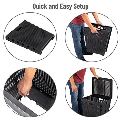 Mind Reader 61L Foldable Laundry Hamper, Clothes Basket, Lid, Wicker Design, Plastic, 18"L x 14.5"W x 21.25"H, Black - color: Black
