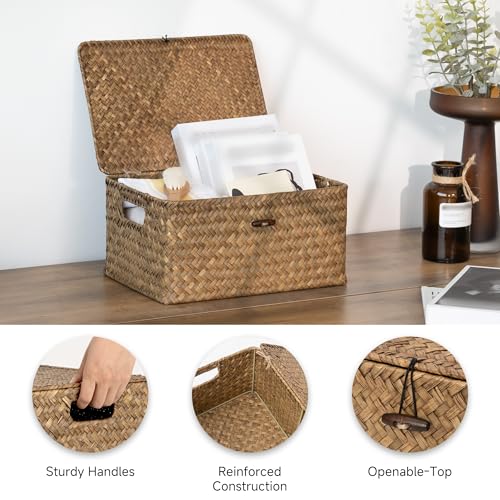 StorageWorks Wicker Baskets with Lid for Organizing, Seagrass Storage Baskets for Shelves, Decorative Box with Built-in Handles, Brown, Medium, 1 Pack - color: Brown(Seagrass), size: 13"L × 9"W × 6 ¼"H