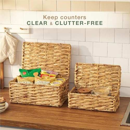 Set of 2 Wicker Baskets with Lid - Decorative Storage Boxes for Home Decor, Shelves - Woven Basket with Lid - Wicker Decor - Rattan Box - Decorative Bins with Lids (Natural) - color: Natural