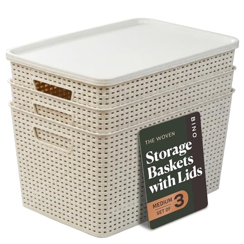 BINO | Plastic Storage Baskets with Lids, 22 Liter - 3 Pack, Natural | THE WOVEN COLLECTION | Storage Basket for Shelves | Woven Storage Baskets for Organizing Bins | Pantry Shelf Organizer Bin - color: Natural, size: 22L | 3-Pack