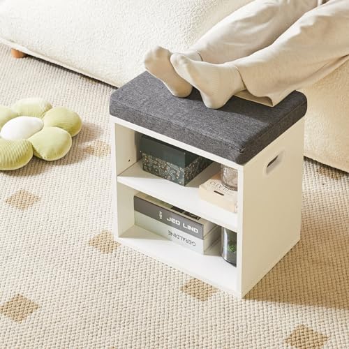 YMYNY Shoe Storage Bench with Cushion, 2 Tier Shoe Rack with Padded Seat, Adjustable Shoe Organizer Cabinet for Entryway, Living Room, Hallway, Closet, Bedroom, 15.4L*11W*16.54H, White, UHBD028W - color: White