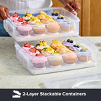Snapware (2-Layer, 24 Cupcakes Plastic Detachable Cupcake Carrier Storage Container With Lid and Handle, Freezer Dishwasher Microwave Safe - size: 14.25" L x 10.5" W