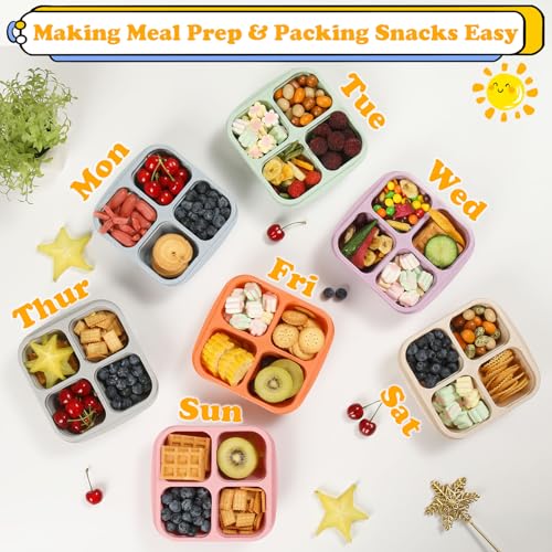 4 Pack Meal Prep Containers, 4 Compartment Bento Snack Boxes, Reusable Divided Lunch Box Containers for Adults, Kids, Toddlers, Travel, Work, School - color: 4Pack-Multicolor
