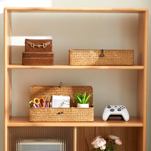 Nonam Seagrass Storage Small Basket with Lid - 3-Section Divided Organizer for Tea,Sugar,Coffee,Tampons - Woven Shelf Bin for Closet, Toilet Tank - Rectangular Narrow Boho Basket Home Decor - color: Small Natural