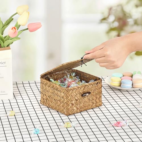 Hipiwe Wicker Shelf Baskets Bins with Lid Handwoven Seagrass Storage Basket Multipurpose Household Organizer for Shelves Home Decor, Caramel Color, X-small - color: Caramel, size: X-small