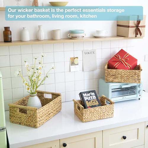 VATIMA Hyacinth Wicker Basket Set 3 size - Rectangular, Wooden Handles, Shelf Organizer, Natural Bins - color: Water Hyacinth, size: Set of 3 (Small, Medium, Large)