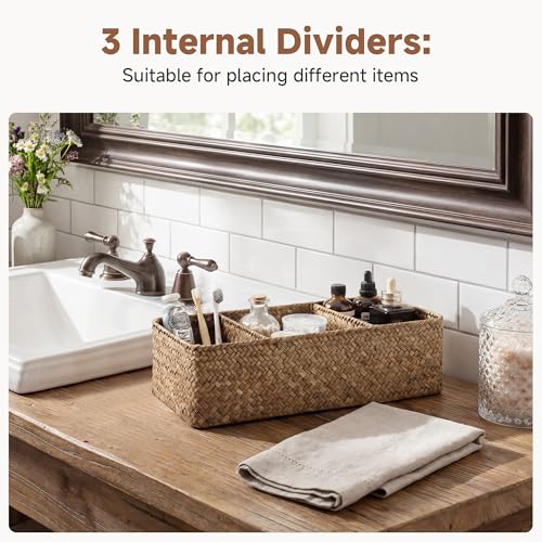 StorageWorks Toilet Paper Basket for Back of Toliet，with 3-Compartments, Basket Organizer, Seagrass Toilet Tank Basket, Brown, 2-Pack - color: Brown（seagrass）, size: 14¼"L x 6"W x 4¼"H