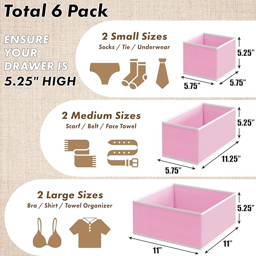 Simple Houseware Underwear Drawer Organizer for Lingerie/Undergarment/Bra/Panty/Sock/Onesie, Set of 6, Pink - color: Pink, size: Set of 6 - 2L / 2M / 2S