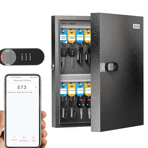 WeHere 32 Key Lock Box - Wall Mounted Key Cabinet with 3-Digit Combination Lock & Backup Key, Key Organizer Lockbox for Home, Office, Rental, Property Management, Includes Key Tags - size: 32 Key Box (Basic)