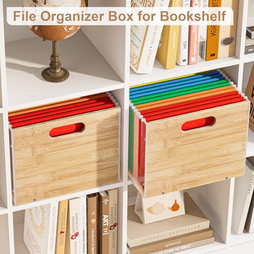 Sbanmao 2 Pack Hanging File Organizer, Clear Acrylic File Box Organizer, Bamboo Filing Box File Crate Storage Boxes, Portable Filing Organizer with Handle for Letter Size - color: 2 Pack, size: Letter Size